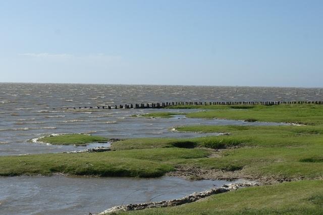 Westerhever 062013 (30)