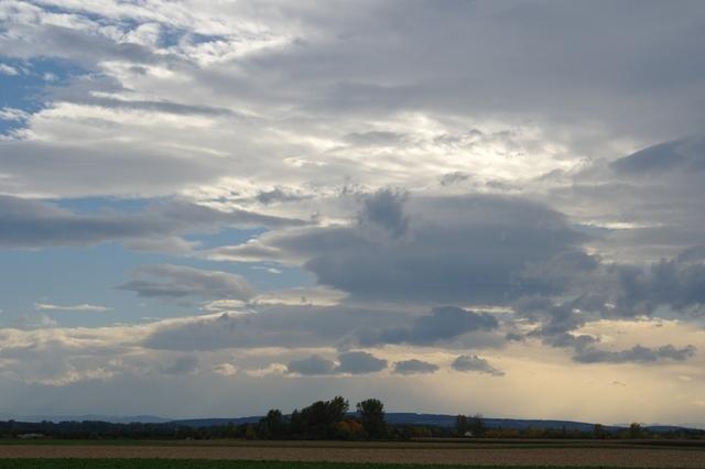 Herbst102013 (37)