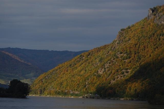 HerbstWachau (5)