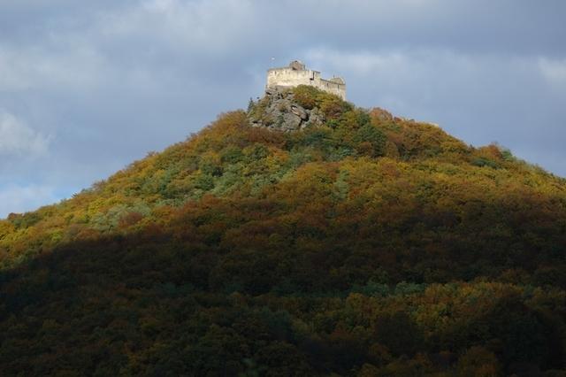 HerbstWachau (8)