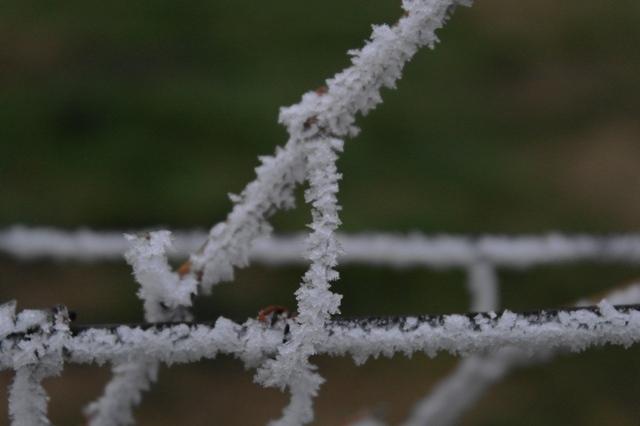 RaureifFeuersbrunn122013 (9)