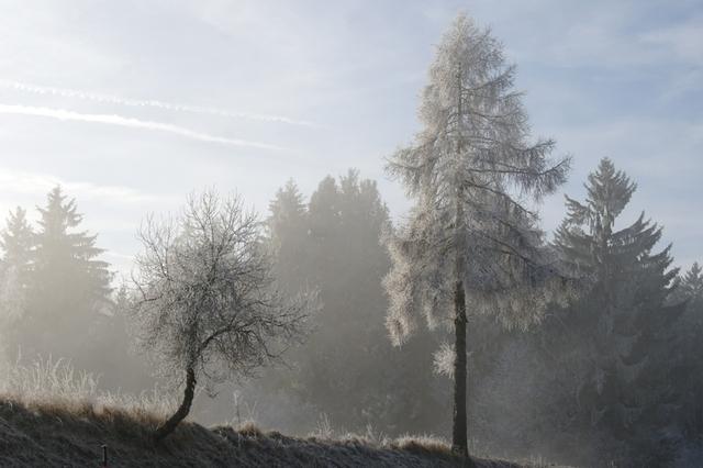 RaureifWaldviertel122013 (31)