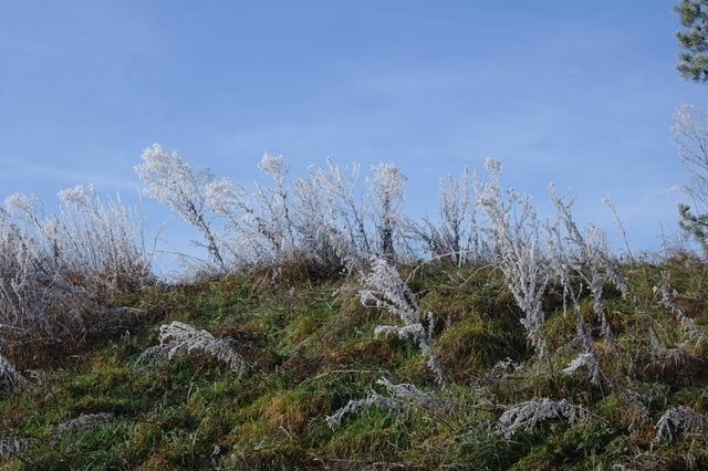 RaureifWaldviertel122013 (32)