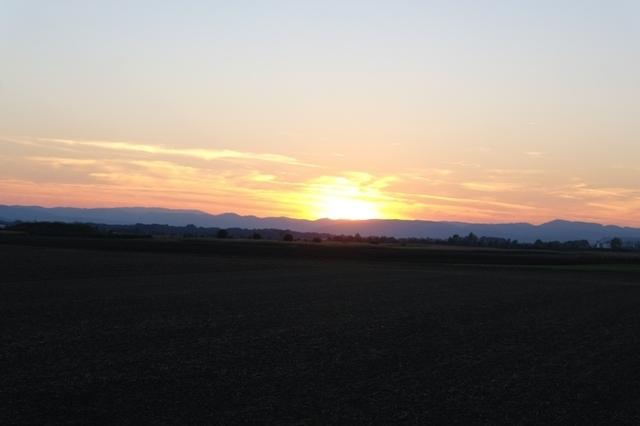 SonnenuntergAcker102013 (11)