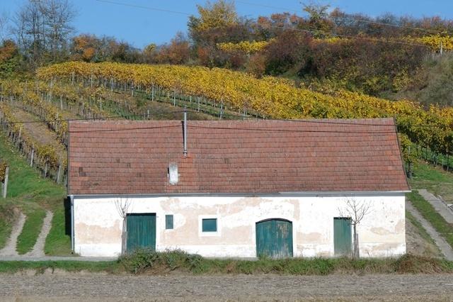 WoraHerbst (5)