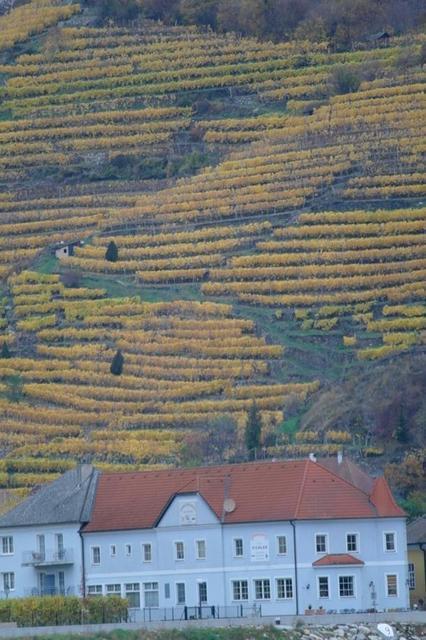 HerbstWachau (50)