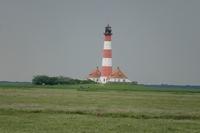 Westerhever 062013 (12)