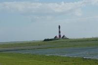 Westerhever 062013 (19)