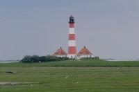 Westerhever 062013 (4)