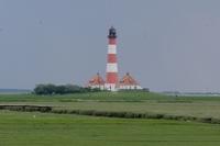 Westerhever 062013 (8)