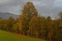 Herbst102013 (54)