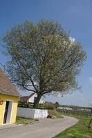 WoraFruehjahr2014 (6)