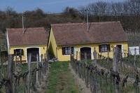 Wora Fruehjahr2014 (17)