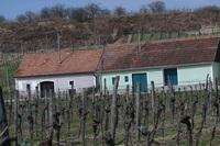 Wora Fruehjahr2014 (18)