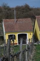 Wora Fruehjahr2014 (19)