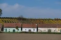 WoraHerbst (2)