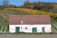 WoraHerbst (5)