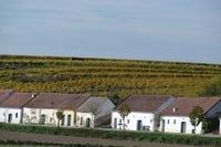 WoraHerbst (6)