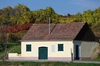 WoraHerbst (9)