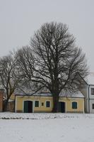 WoraWinter012014 (12)