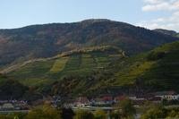 HerbstWachau (26)