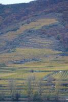 HerbstWachau (38)