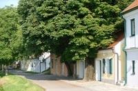 Wora Kellergasse bei uns dahoam  45