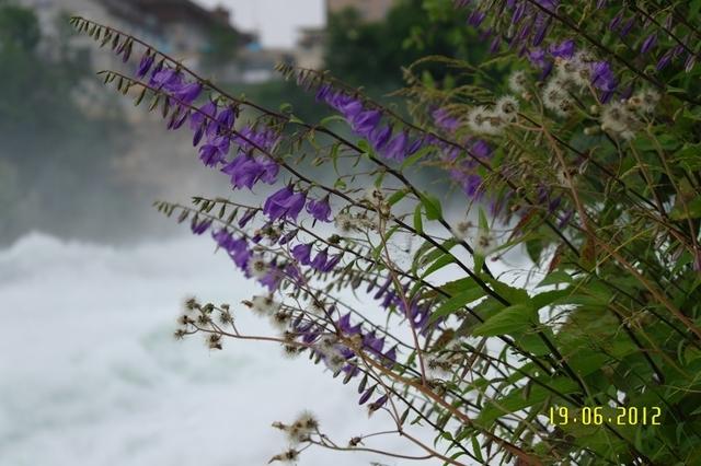 Rheinfall Schaffhausen 2012 (19)