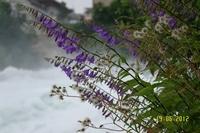 Rheinfall Schaffhausen 2012 (19)