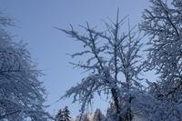 Tirol 012012 (22)