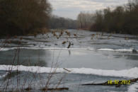 Donauau Grafenwörth